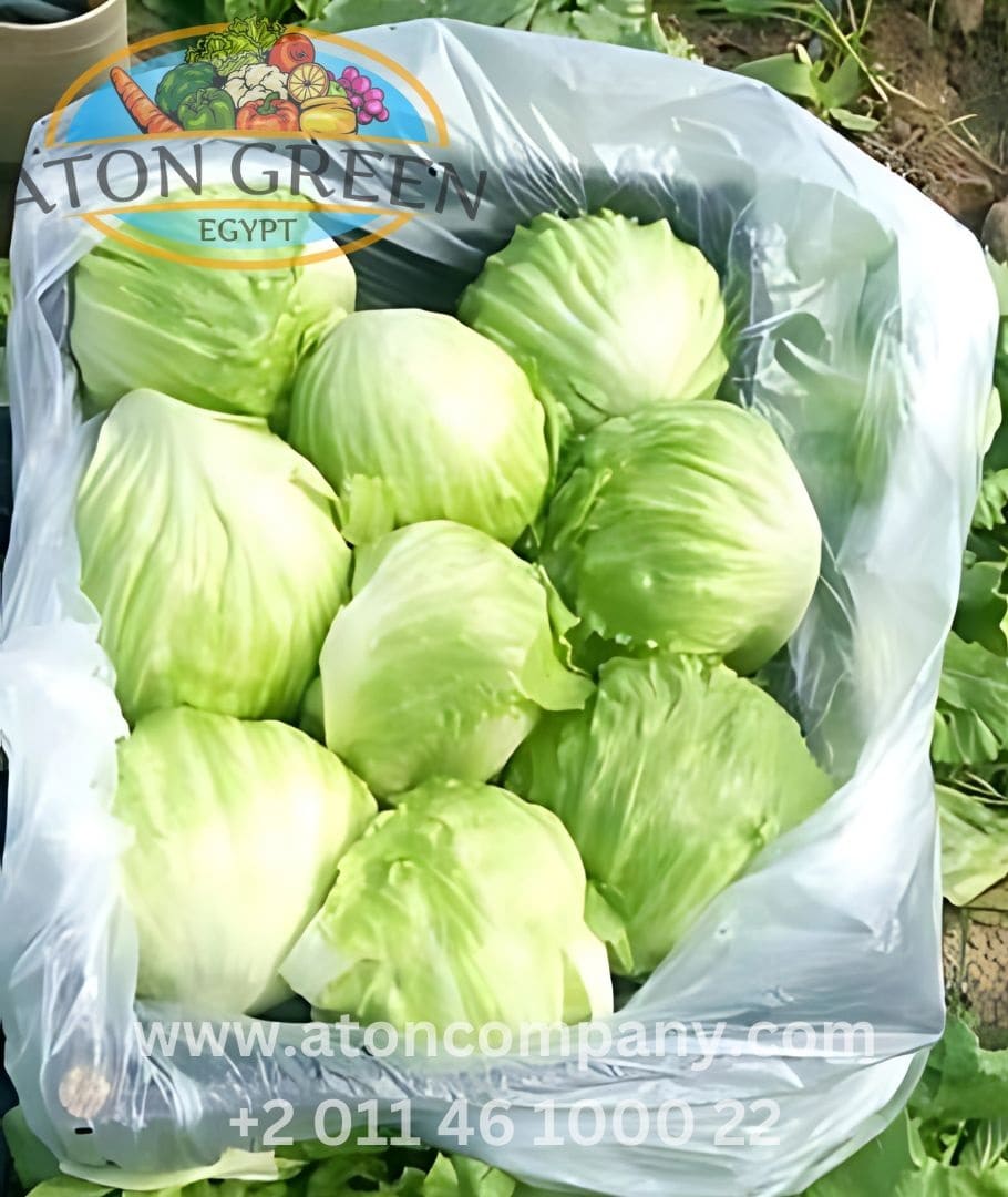 Aton Green Egypt Fresh Fruits & Vegetables